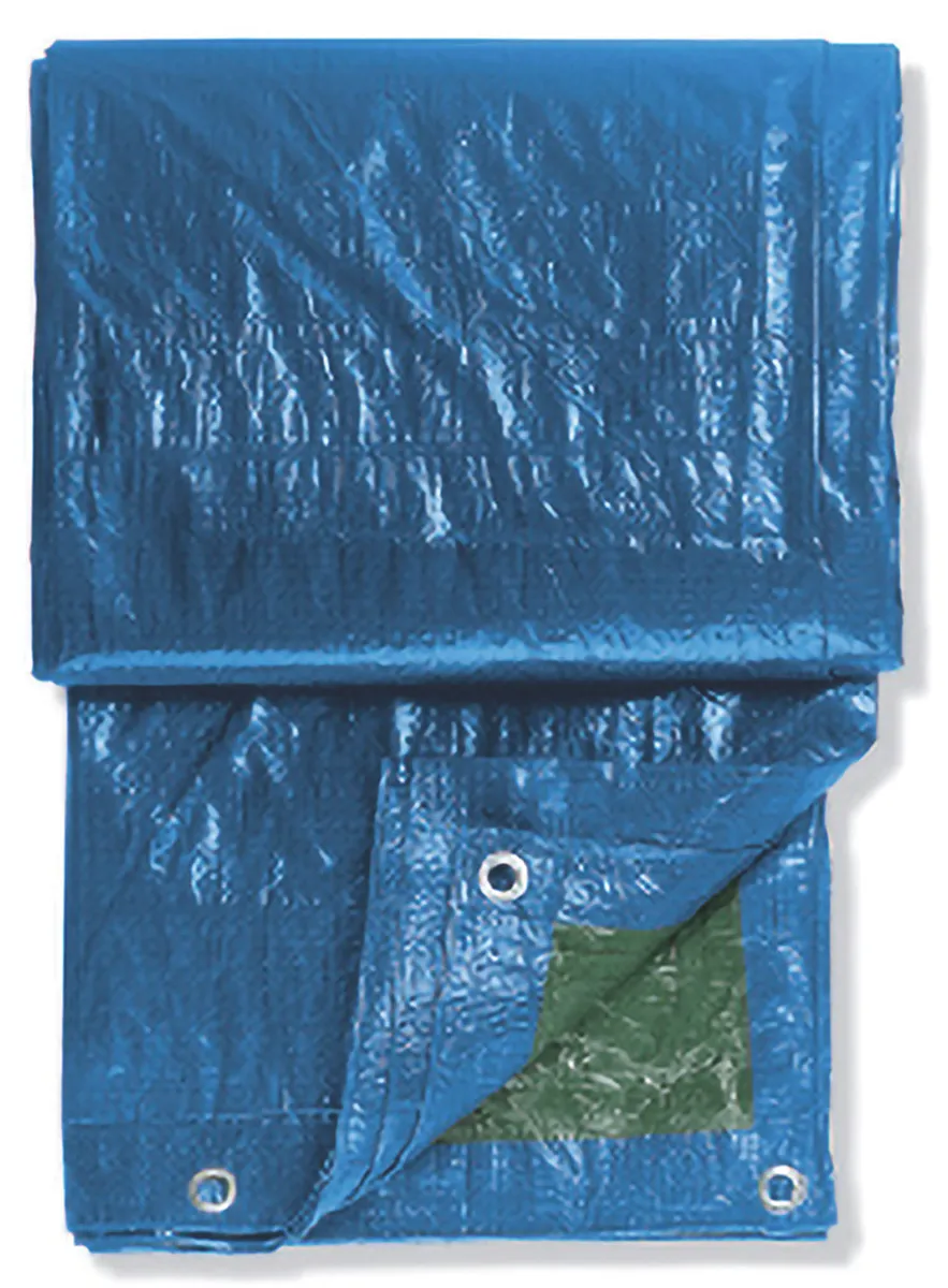 Gewebeplane mit Ösen 6 qm (2 x 3.0 m) grün/blau 0